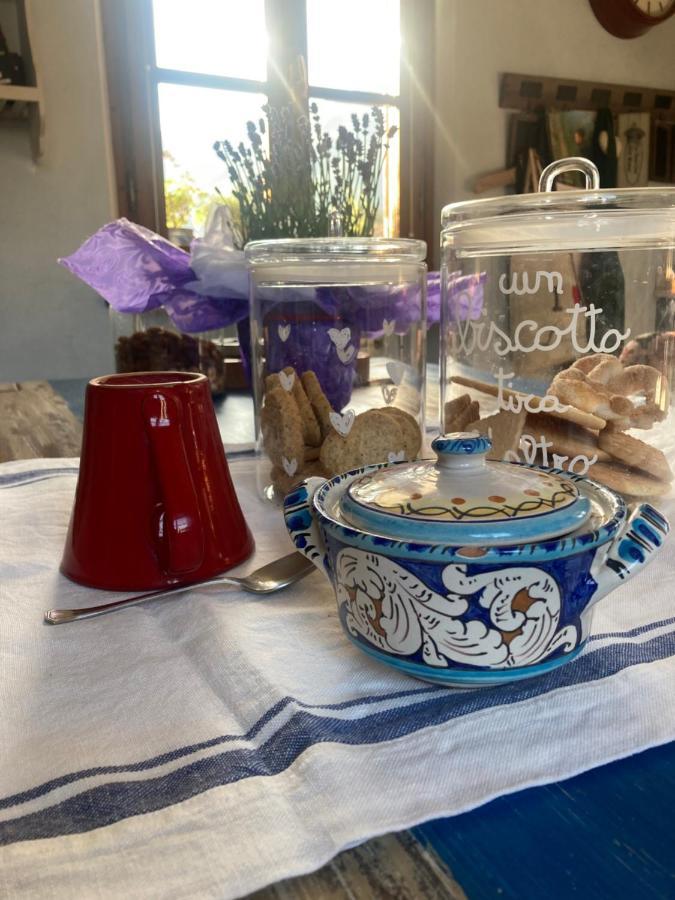 La Casa Di Ciaccia Leilighet Camaiore Eksteriør bilde